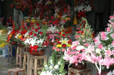 COMERCIO - FLORES (7)